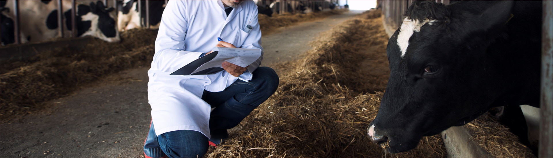 Distribuidor certificado para insumos veterinarios