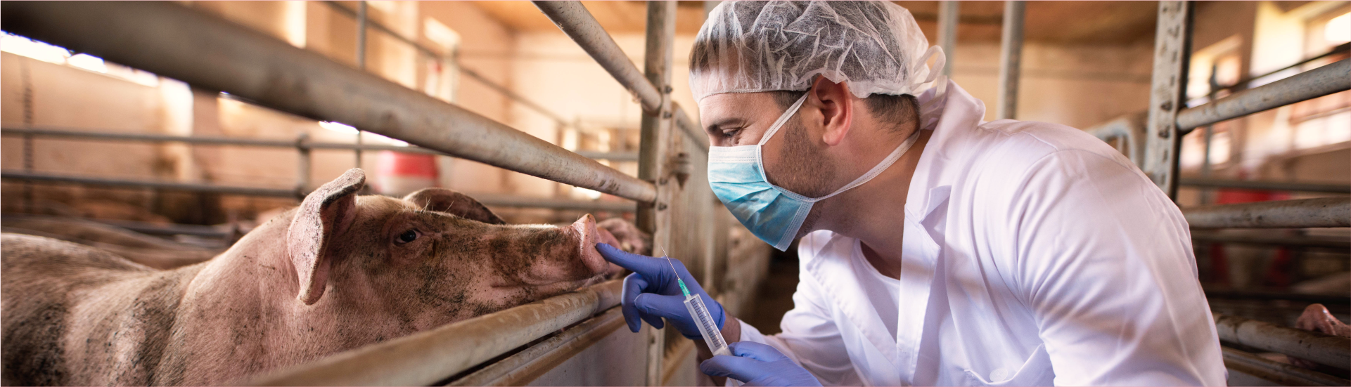 Productos Químicos Veterinarios Proquimvet - Distribuidor Nacional